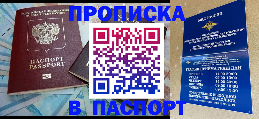 найти адрес прописки в Курске